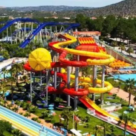 Centralgarve - Crown 22 *